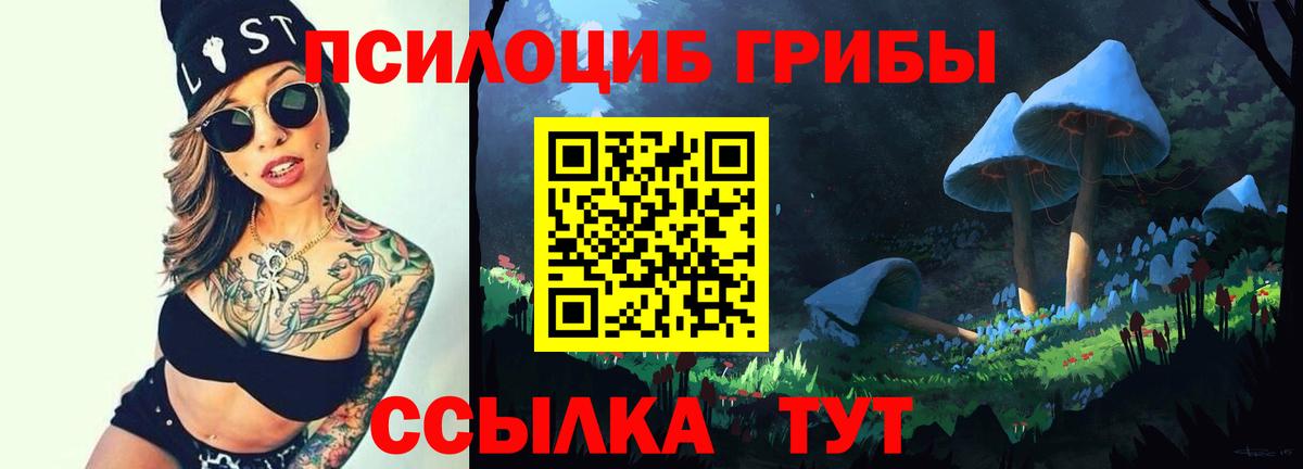 Галлюциногенные грибы прущие грибы Гусь-Хрустальный