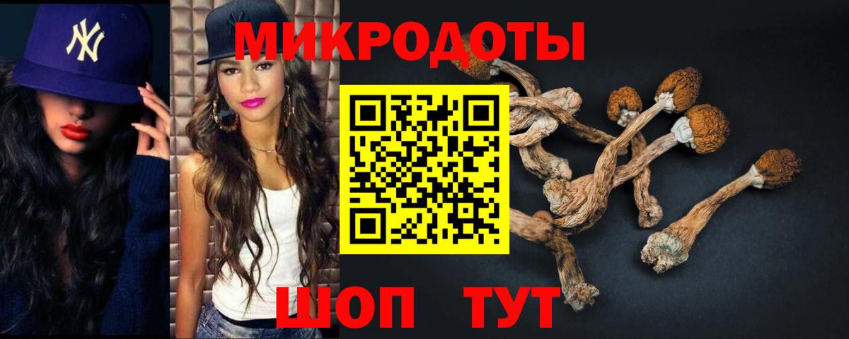 Гусь-Хрустальный  Галлюциногенные грибы MAGIC MUSHROOMS  Вход с VPN 